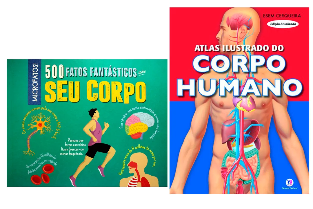 Kit 500 Fatos Fantásticos Sobre Seu Corpo Atlas Ilustrado Do Corpo