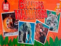 DVD - Coleção Animais Espetaculares: Grandes Mamíferos