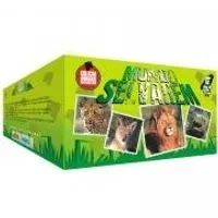 DVD - Coleção Animais Espetaculares: Mundo Selvagem