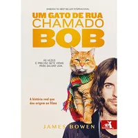 GATO DE RUA CHAMADO BOB