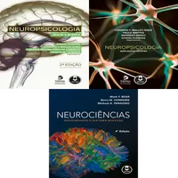 Desbravando o Universo Neurológico: Neurociências e Neuropsicologia Teoria e Prática